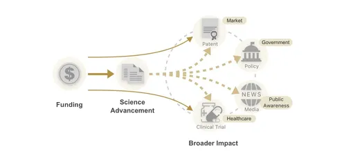 Экосистема науки — от финансирования до научных исследований и более широкого последующего воздействия. влияние. Прямыми результатами финансирования являются научные публикации, патенты и клинические испытания (сплошные темно-желтые желтые стрелки), в то время как более широкое воздействие возникает благодаря влиянию финансируемых работ на общество в целом, например, на государственную политику (пунктирные стрелки)