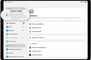 Как удалить учетную запись Apple: подробная инструкция Как удалить учетную запись Apple: подробная инструкция