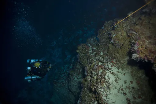 Бездна Челленджера Бездна Челленджера