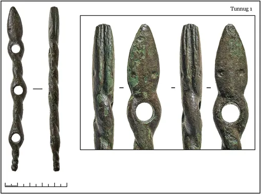 Бронзовая скула в виде двух закрученных змей Бронзовая скула в виде двух закрученных змей