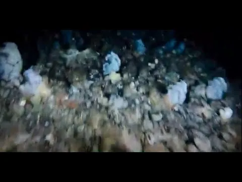 Нажми и смотри
