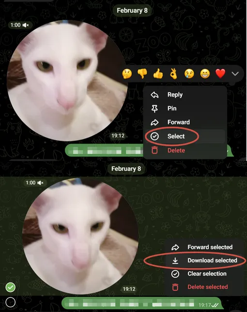 Как скачать кружок в телеграм