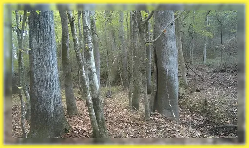 Тест на внимательность Тест на внимательность