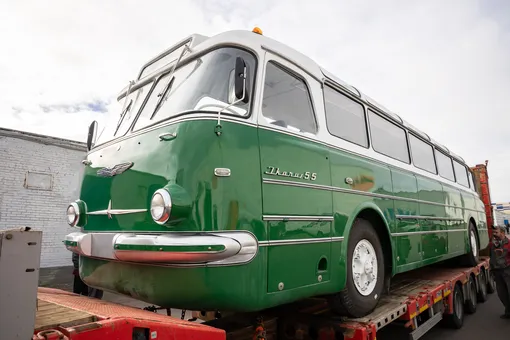 Автобус Ikarus 55