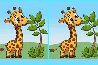 Полдник жирафа: найдите три отличия между забавными картинками на время