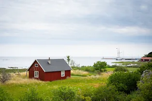 Природа ностальгии: ученые выяснили, почему в конце жизни нас тянет в родные края