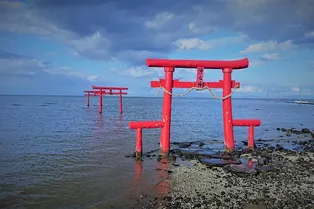 Осмотическая электростанция открылась в Японии: для работы ей нужна лишь соленая вода