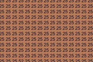 Быстрая проверка внимательности: найдите число 52 за отведенное время