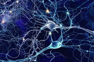 Может ли ИИ думать как человек: эксперимент с моделью системы «на грани хаоса»