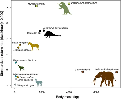 рацион древних рацион древних