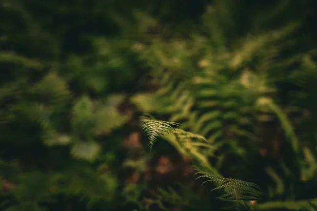 От метана в океане до землекопов-дипломатов: главные новости сегодня