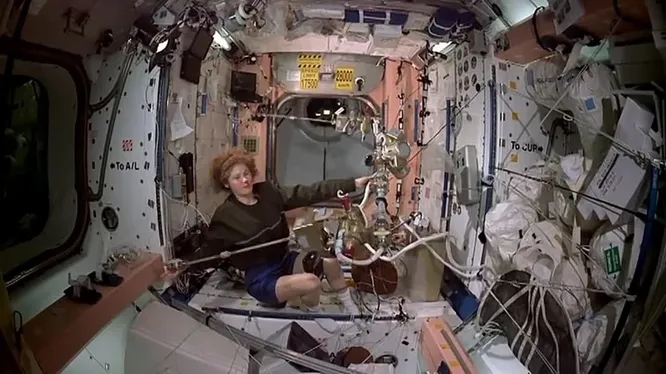 Нажми и смотри