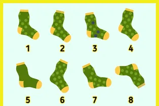 Таймер на 15 секунд: попробуйте найти 2 одинаковых носка на рисунке