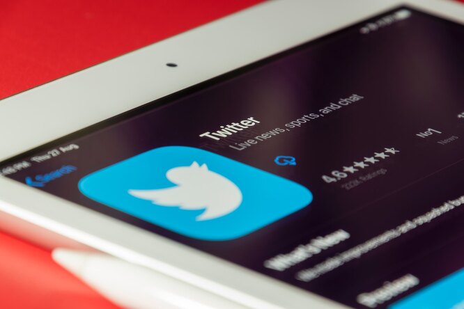 Почему Илону Маску так сложно было купить Twitter и что ждет соцсеть?