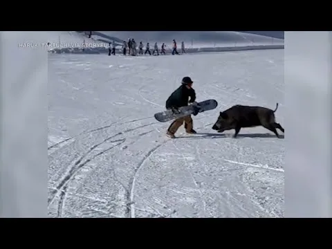 Нажми и смотри Нажми и смотри