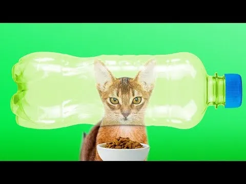 Нажми и смотри