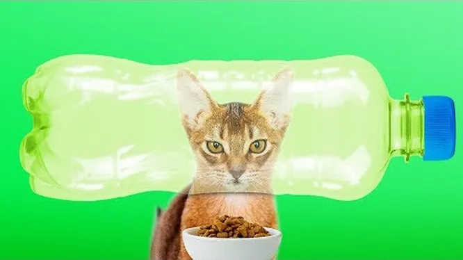 Нажми и смотри