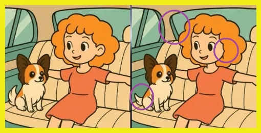 Ответ на поиск отличий