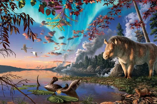 Ученые описали вымерший вид носорога, жившего за Полярным кругом Ученые описали вымерший вид носорога, жившего за Полярным кругом