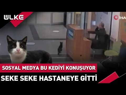 Нажми и смотри