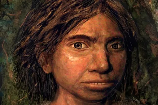 Портрет девушки-denisovan, восстановленный на основе скелетного профиля, реконструированного по древним картам метилирования ДНК.
