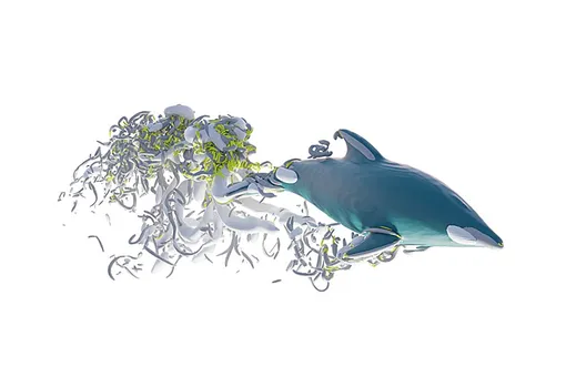 Иерархия вихрей, создаваемых плавающим дельфином.