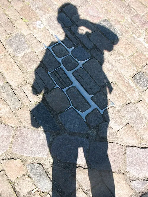 Тень Тень