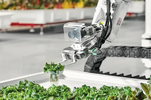 Ученые почему-то не упомянули роботов, которые все активнее применяются на фермах и тоже вносят вклад в увеличение плодородия. робот ухаживает за зеленью