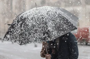 Почему времена года различаются даже на одной широте? Ответ ученых