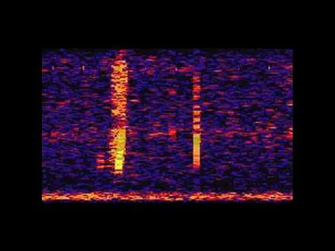 Нажми и смотри