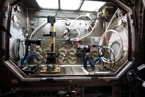 Открытый шкаф-инкубатор на МКС для проведения экспериментов в условиях микрогравитации. Он обеспечивает терморегулируемую среду для научных экспериментов и способен поддерживать температуру в диапазоне от -20 °C до +48,5 °C.