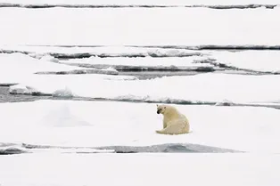 Разница в 30 градусов: почему Южный полюс холоднее Северного