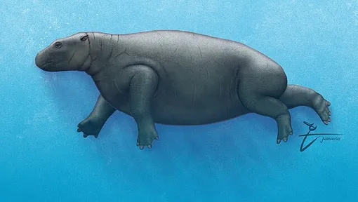 Behemotops proteus Behemotops proteus