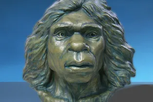 Предки человека пришли из Африки в Азию 1,7 миллиона лет назад Предки человека пришли из Африки в Азию 1,7 миллиона лет назад