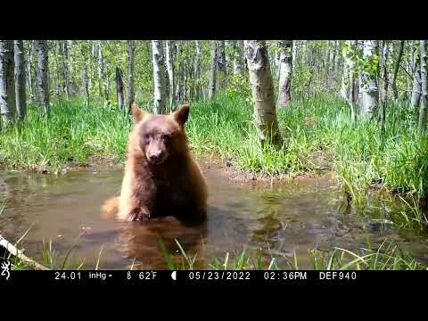 Нажми и смотри Нажми и смотри
