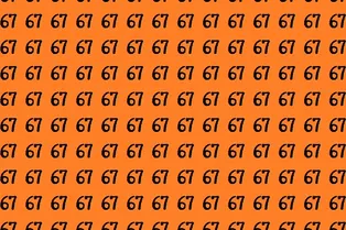 Попробуйте найти число 76: визуальная головоломка на 9 секунд