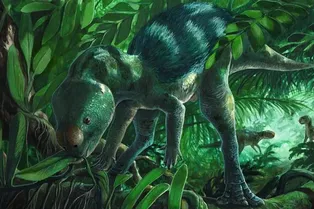 Крошечный родственник гигантских динозавров удивил ученых строением черепа