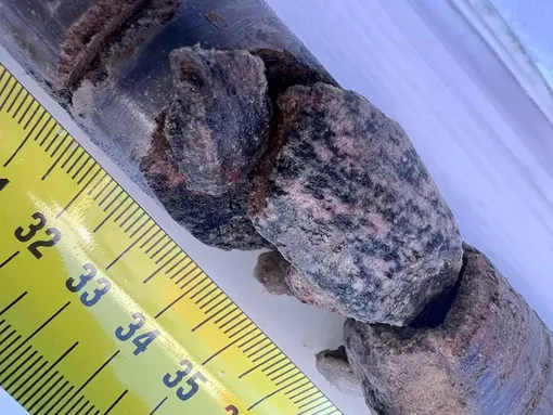 Ядро коренных пород и отложений, извлеченное с глубины около 100 метров под ледяным покровом Гренландии, недалеко от края купола Прудо.