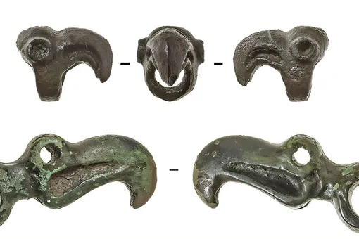 Как болото в Сибири помогло раскрыть тайну скифского искусства Как болото в Сибири помогло раскрыть тайну скифского искусства