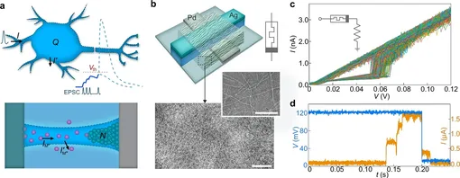 Создание мемристора, работающего с биологическими параметрами Создание мемристора, работающего с биологическими параметрами