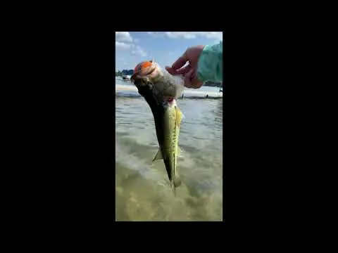 Нажми и смотри
