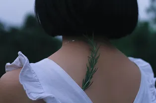 Волшебное средство для роста волос: интересные факты о розмарине