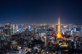 Какой город самый большой на свете: вы удивитесь! Какой город самый большой на свете: вы удивитесь!