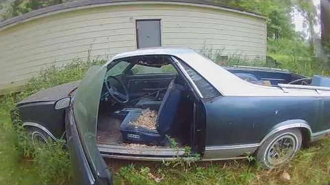 Нажми и смотри