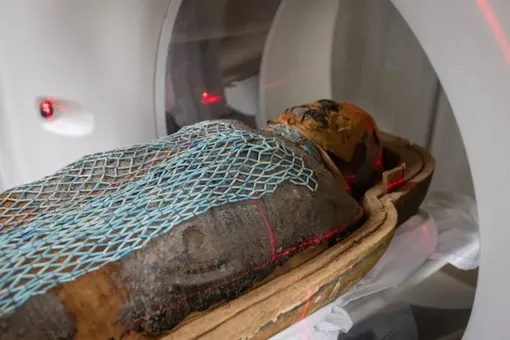 Мумия проходит КТ
