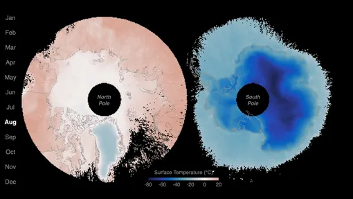 Температура поверхности в полярных регионах Земли в августе. NASA PREFIRE (Polar Radiant Energy in the Far-InfraRed Experiment). Температура поверхности в полярных регионах Земли в августе. NASA PREFIRE (Polar Radiant Energy in the Far-InfraRed Experiment).