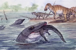 Зуб мозазавра возрастом 66 миллионов лет показал, что древние рептилии охотились не только в морях, но и в реках