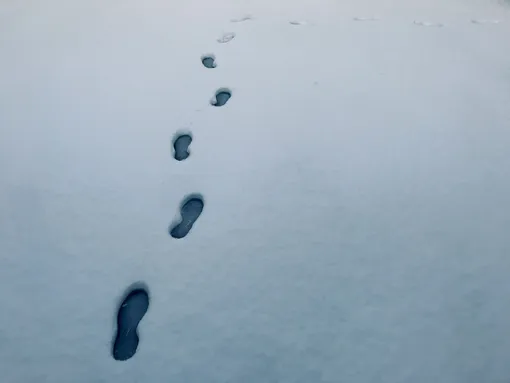 Следы на снегу