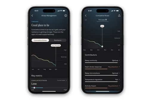 Oura прокачала свое приложение: последите за своим уровнем стресса Oura прокачала свое приложение: последите за своим уровнем стресса