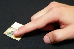 Компьютерные процессоры из грибов скоро могут стать нашей реальностью Компьютерные процессоры из грибов скоро могут стать нашей реальностью